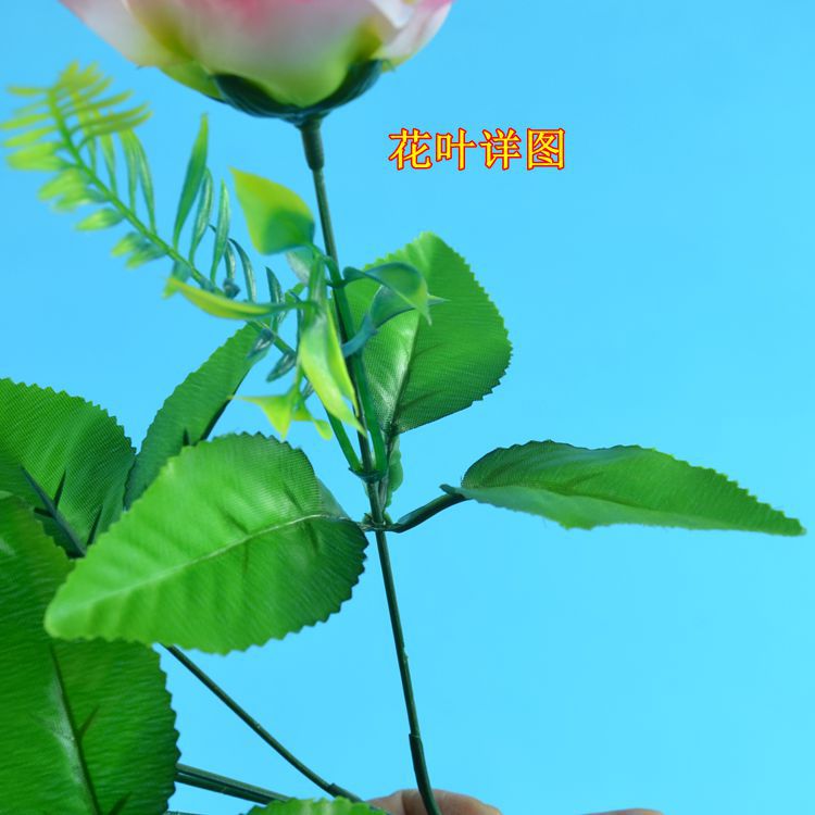 10头碎边玫详情4.jpg