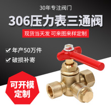 ������늄���ͨ�y ���ݼy�����y�T�p���y ��̖306