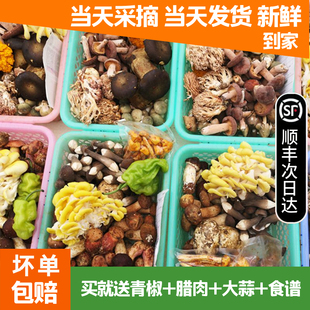 ����M��Ģ��������ţ�ξ���Ҋ���rҰ�����u�����׾������^