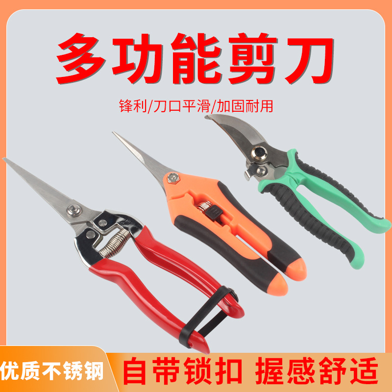 园艺水果专用弯头剪刀采果修枝蔬果摘果尖头剪树枝自带锁扣弹簧剪