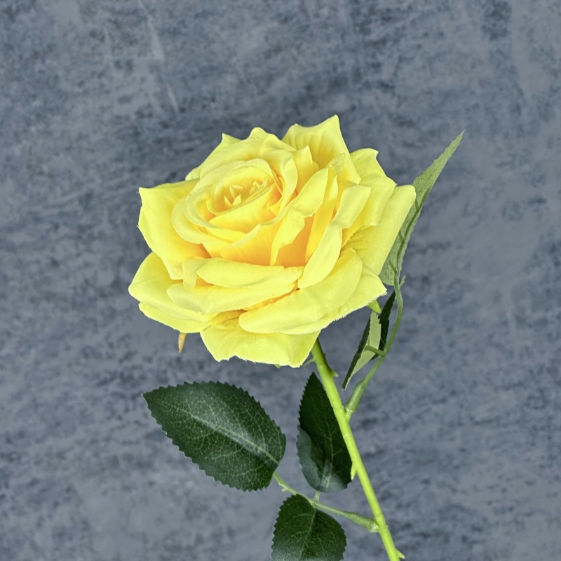 Amarillo