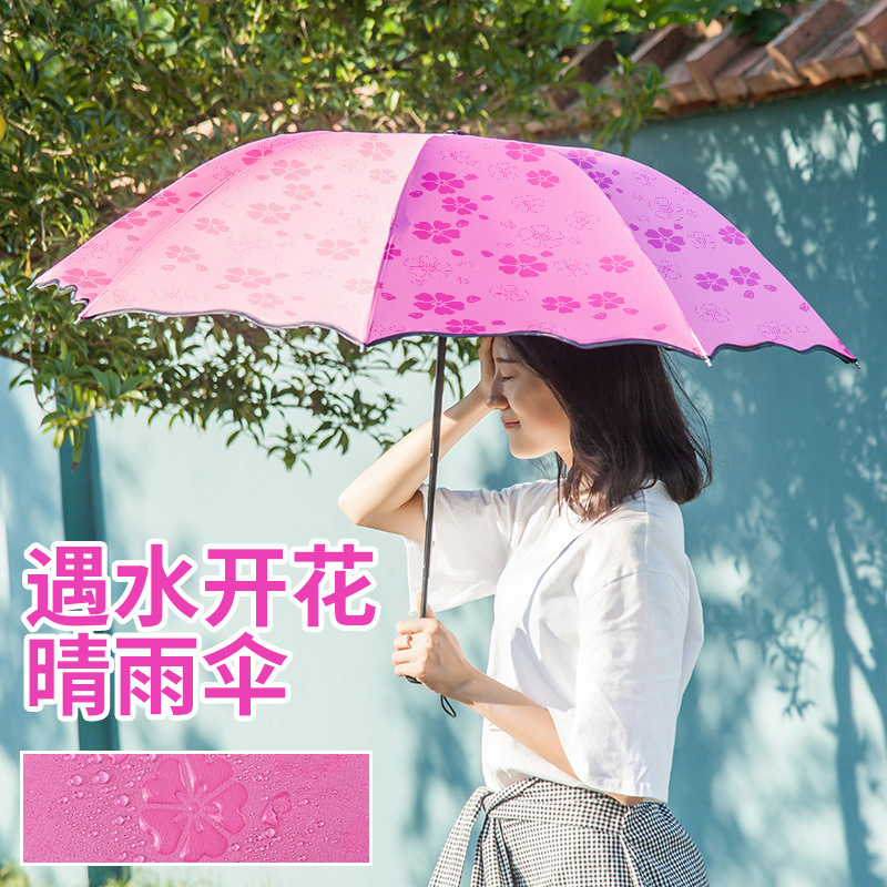 创意三折遇水开花伞晴雨两用黑胶太阳伞遮阳防紫外线定制logo广告