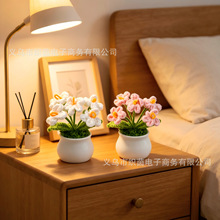 �羳ë����Ʒ���տ����Է��滨��������[�������ֹ��̎���С�Y��