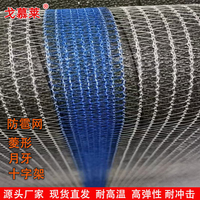 ageing encryption Crescent Orchard Anti-bird netting Apple grape white nylon greenhouse Fence