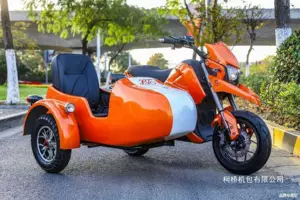 Roman Motorcycle Motor Long Range Touring Sidecar Electric Tricycle