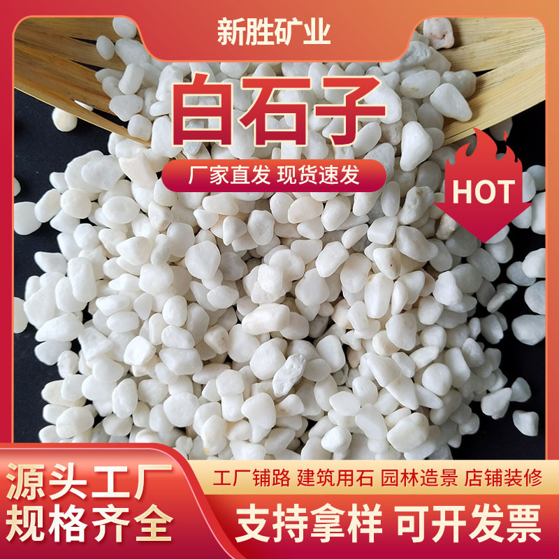 白石子园艺多肉铺面水族造景装饰白玉石雪花石垃圾桶灭烟庭院铺路