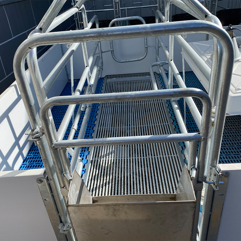 GB 2.5 Cama de parto de cerdas de estilo europeo Cama de parto de cerdas Cama de parto integrada Cama de parto de cerdos