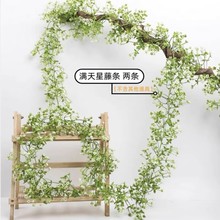 �����b٘��ټٻ��M���ǿ͏d늾���¶�ڳ����ړ����������p�@