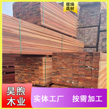 ľ匍ľtŽľľSlֱN@ֹŽԭľ