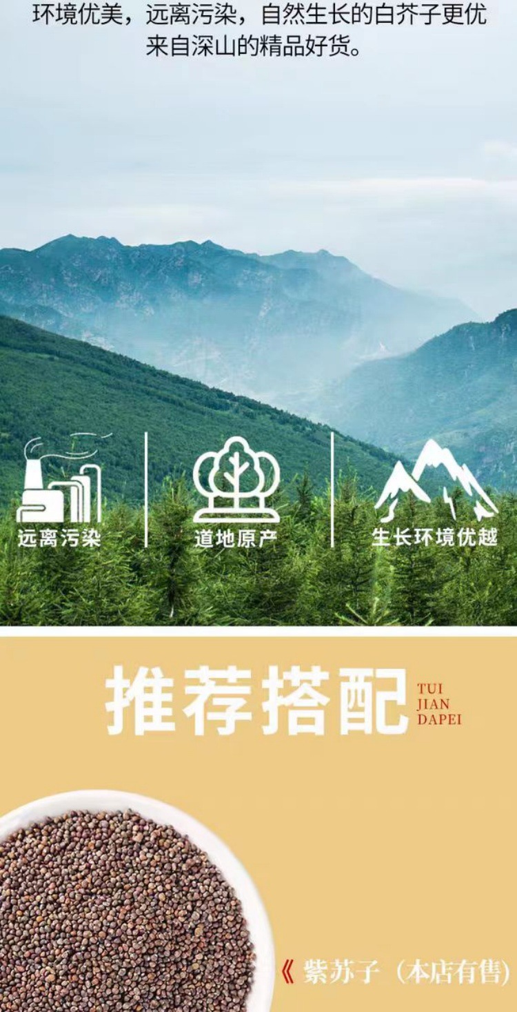 Bai Jie Zi (Sinapis alba) — Sichuan White Mustard Seed, Dried Food Herb 500g overview