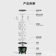 L�����o������Nֲ�̨�N��ˮ���߲�ˮ�F��ͥˮ���O����Ҵ���C