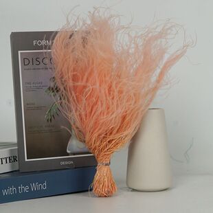 ��������ë��20g/���që�����r���}�Q��Ϧ���Y�﹝Ins�L�Ӽ��b�