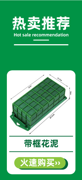 5.4Lucy热卖推荐-2