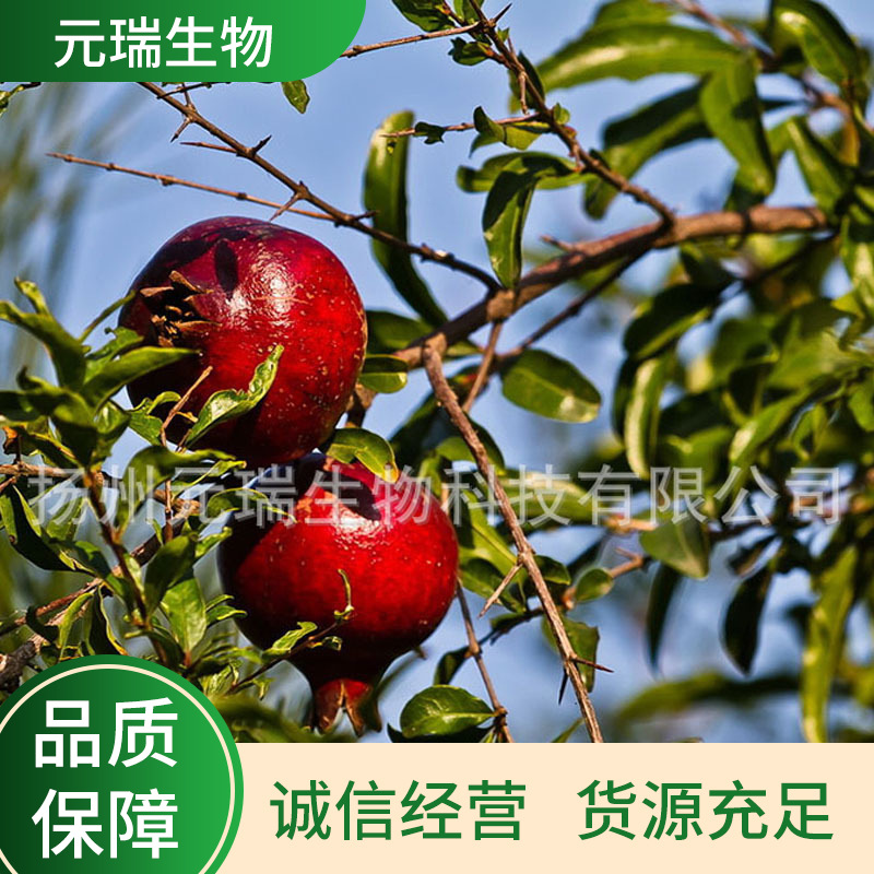 厂家供应红石榴提取液日用化妆品原料红石榴萃取液纯植物提取液