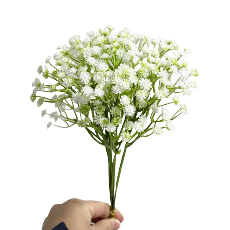 별이 가득한 하늘