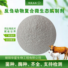 �A�����ﷴ�c������ͺϾ�ø��s�� ��θ��ţ��¹��ݲ�ѿ�ߗU��