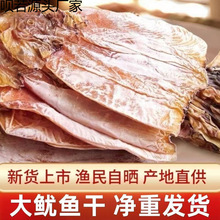 渔民新晒鱿鱼干鱿鱼批发大鱿鱼干新鲜盐干鱿鱼炒菜铁板烧跨境电商
