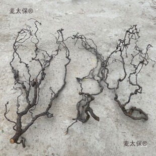 �ɘ�֦��ͥ�b� һ��һ�� ������[���廨��֦ɽˮ���Ϳ͏d��̫��