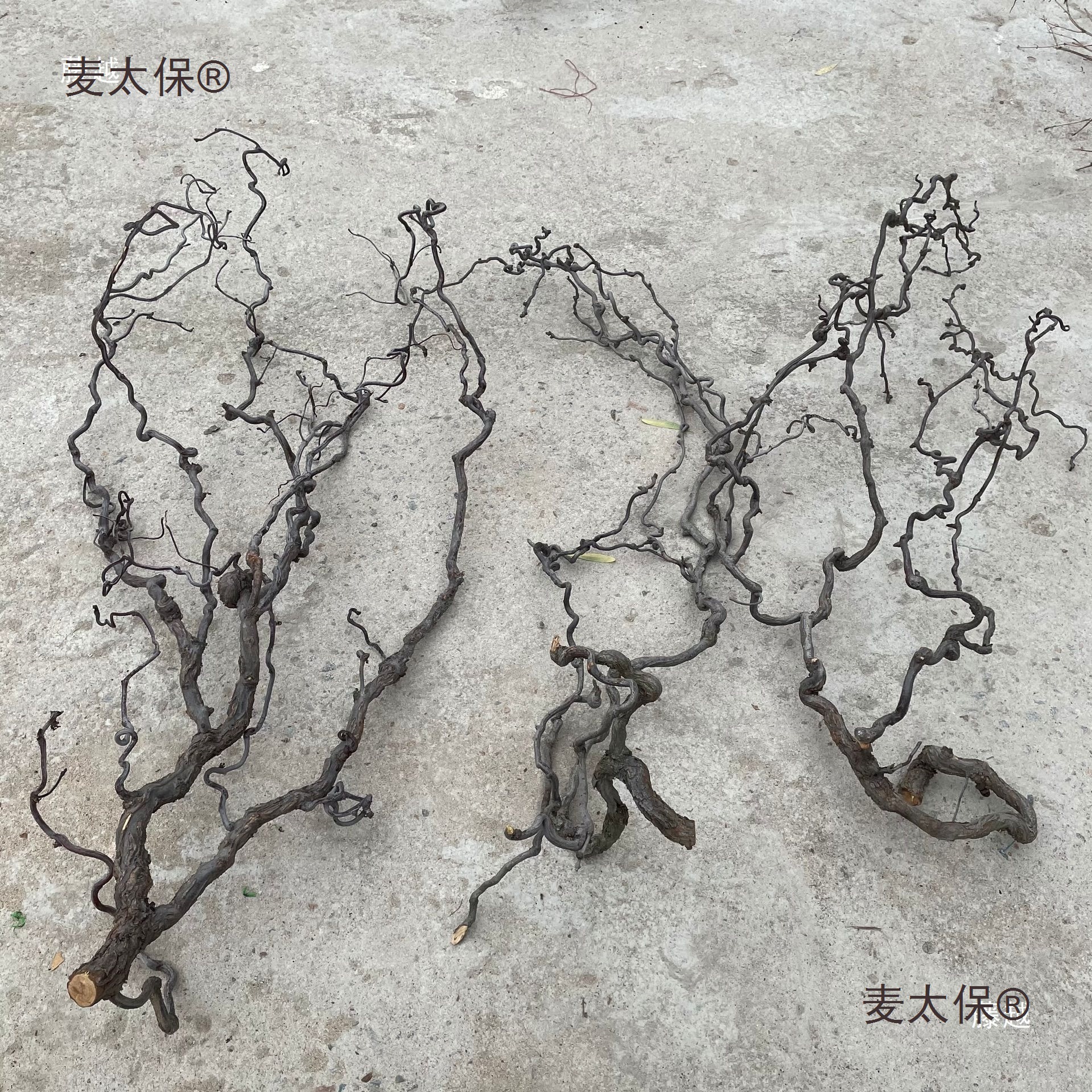 干树枝家庭装饰 一物一拍 龙枣树摆件插花干枝山水造型客厅麦太保