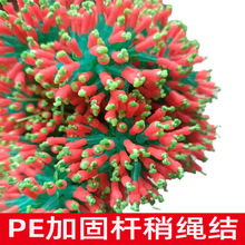 �����RPE���Y�ӏ��������Լӹ��K�ӌ��ø������e�o���O��������l