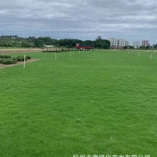 ���ش������l�R������ƺ���~�Y�|�ݸ���éƷ�N�Rȫ