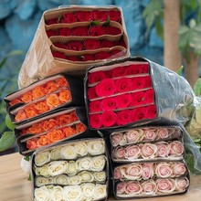 rֱltõ廨ˮBٺϻrлտl