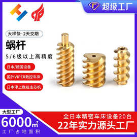 厂家批发不锈钢304黄铜蜗杆减速机精密小模数微型铜蜗轮蜗杆