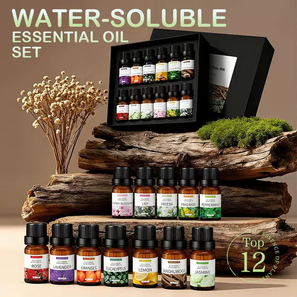 Cross-Border Water-Soluble Aromatherapy Essential Oils, 12-Pack, Commonly Used for DIY Aromatherapy, Essential Items, Wholesale from Manufacturer, 10ml *12