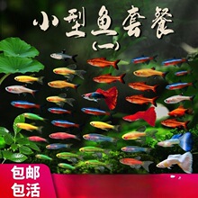 �����~���B�~���ͻ������ˮ�^�p�~С�Ϳ�ȸ���R�~��̖�Ꭷ����