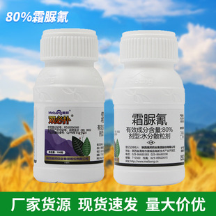 80%˪����100�����Ѳ�ݮ�߲�˪ù���߲��rș���������]