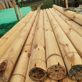 家具配件;猫猫窝/笼/垫;原木