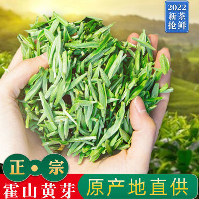 2022 newly picked and processed tea leaves Mount Holyoke Huangya Super manual Yellow tea highly flavored type Mingqian Buds Alpine Tea