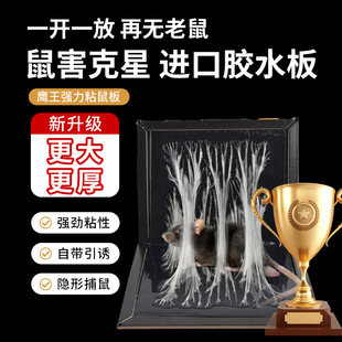 ����������ճ����M���zˮ�����Nץ�������N�z���� �Ӵ�ӏ��Ӻ�