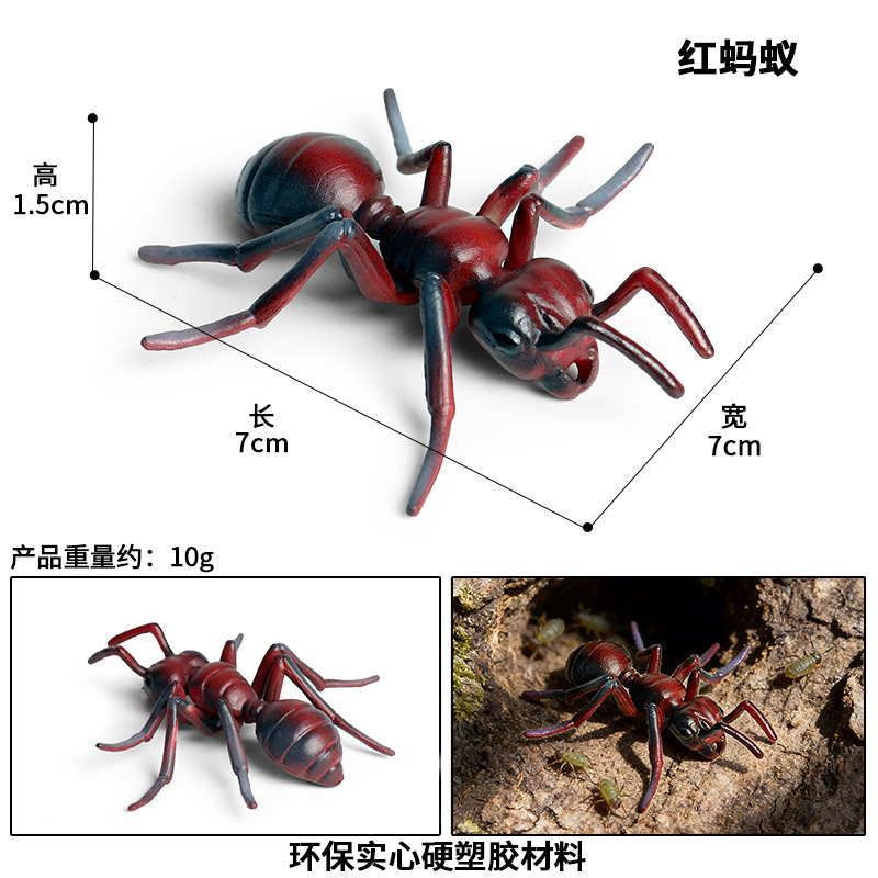 M-1307 red ant