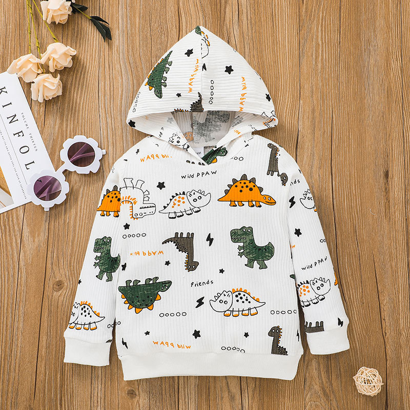 Kinder Pullover Anzug Herbstmode Langarm Jungen Dinosaurier Print Pullover Hose zweiteiligpicture4