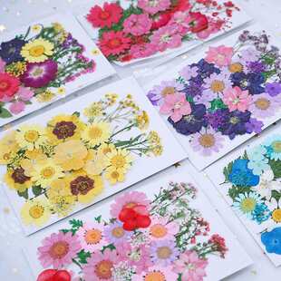 Ѻ���������ϰ�����~ֲ��˱��羳���z�֙C���ɻ�����DIY�M�b