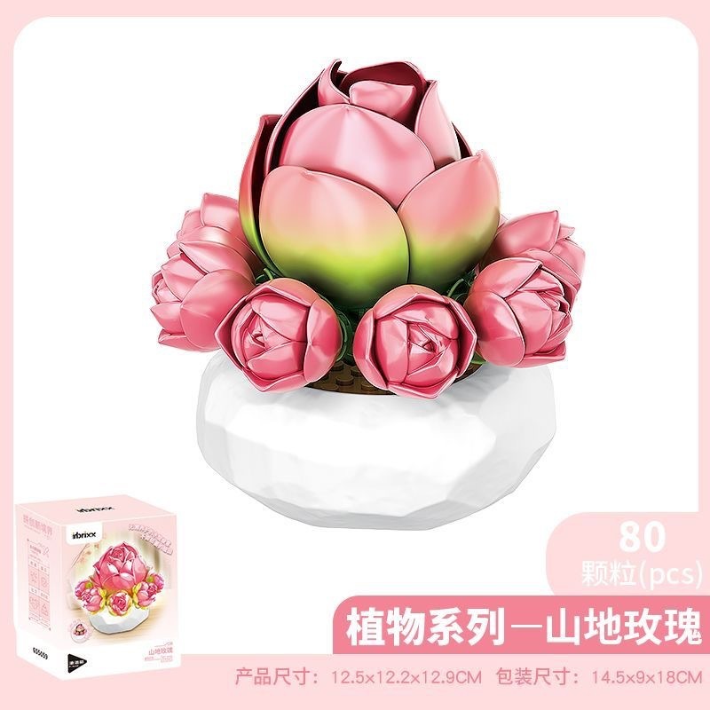 ペンローズ多肉植物ビルディングブロック花植物ビルディングブロック鉢植えデスクトップ装飾品ホリデーギフトビルディングブロック|undefined