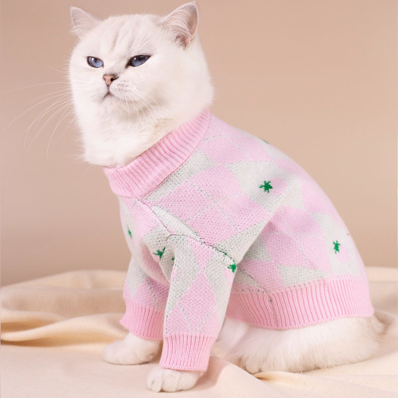 Cute fashionable trend sweater