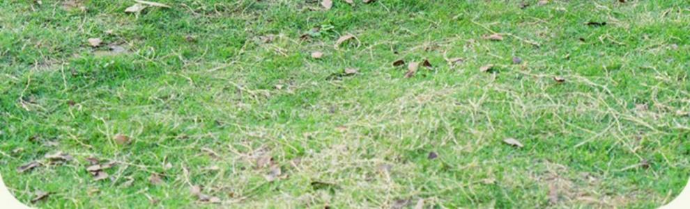 2b7aeca069ccd2bf4870e1cba4e078a9.jpeg