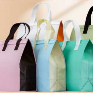 Non-Woven Bag for Takeout Milk Tea, Catering Packaging Bag, Ice Cream, Cold Drink, Cake, Cold Insulation Bag, Custom Takeout Bag