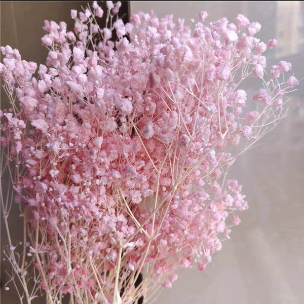 Fuchsia, 100 gram