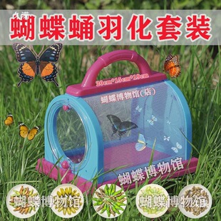 �����Ӽ�ɷ���������xС�͌����B��ͯ���նY����������b