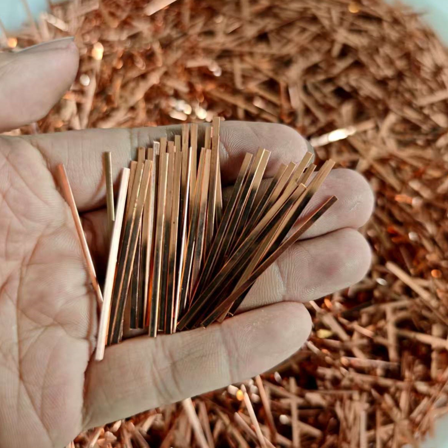 专业生产黄铜插头扁线、插脚扁铜线、直角扁铜线、圆角扁铜线