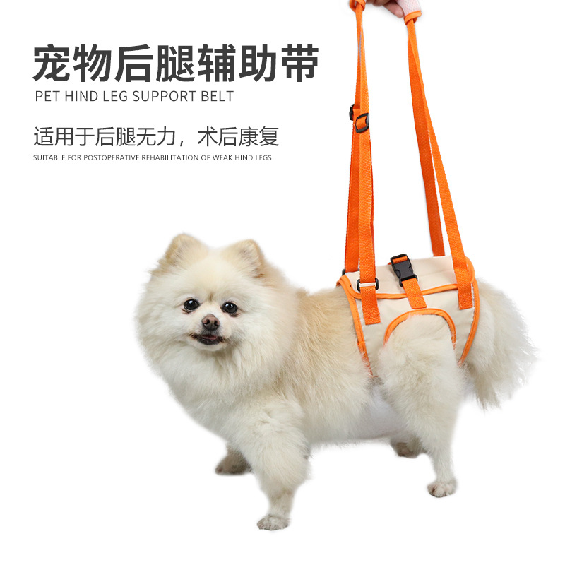 亚马逊新品宠物后腿辅助带狗狗行走助力带老年犬残疾犬协助带批发