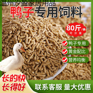 �S��80�������ι��С���_�����������a���w��ȫ�r�Bֳ������
