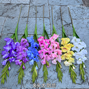 �Ҿӷ��滨���Q�S�� 8�^���m ��cܛ�b�Ƶ�����bٻ����l
