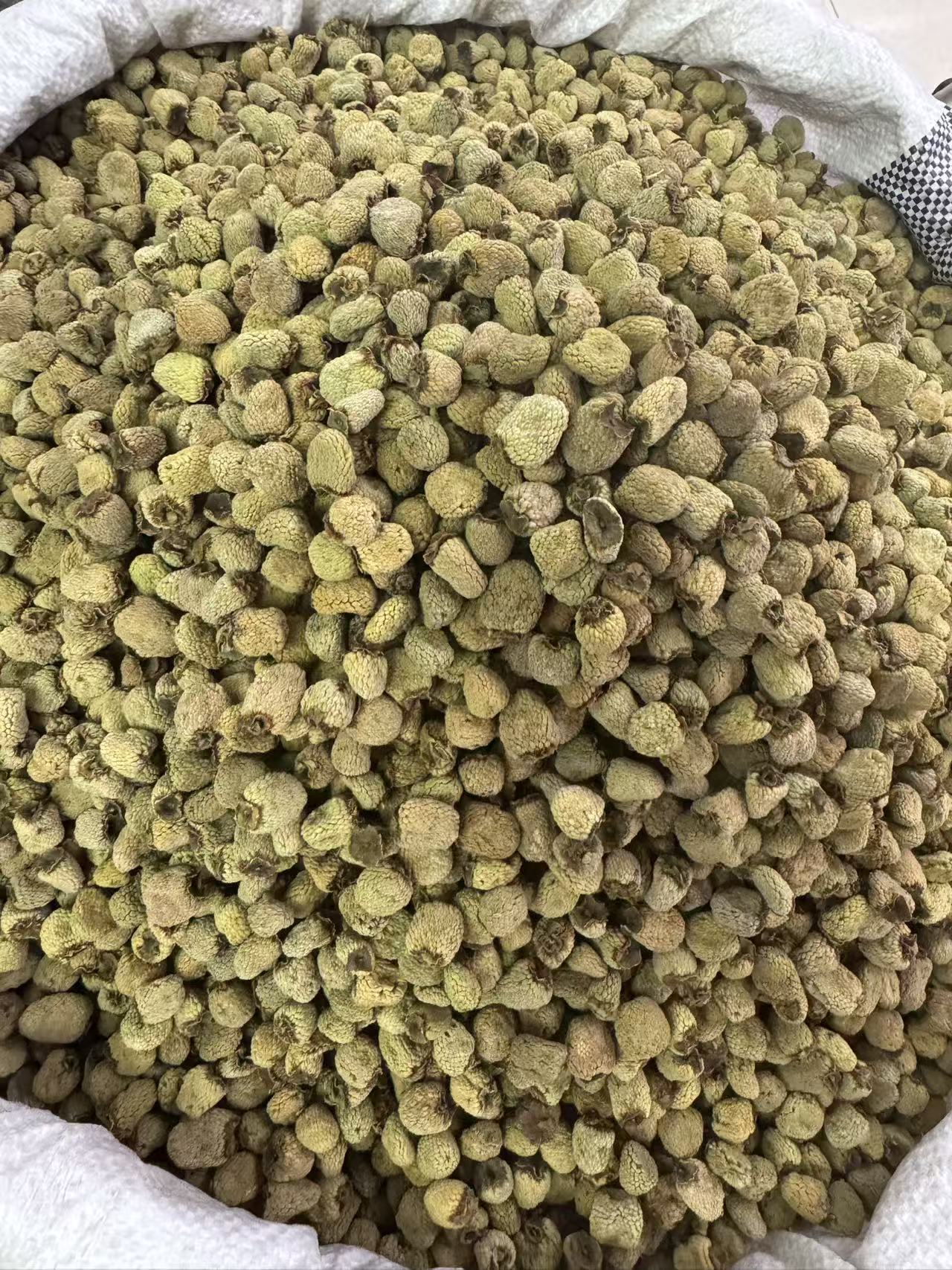 Fu Pen Zi Raspberry Dried Fruit Tea Herb Qiandao Lake Zhejiang 1000g Bag in use