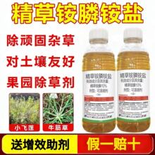 10%精草铵膦铵盐除草剂连根烂死果园荒地节节草芦苇牛筋草专用