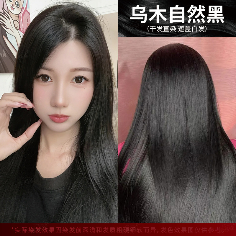 녹색 깃털 새 살롱 내추럴 블랙