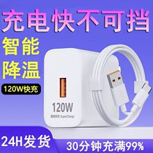 120W��������^ �m�� �A�� С�� OPPO ��� 6A������ �sҫ 66W�W